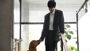 yNnRN8DeVXZ4QAzkd71i1QvtHQc