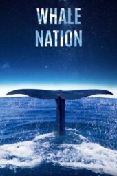 v2OSFurEZIO0TRCokWHVozlS2cG